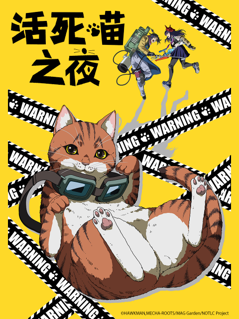 活死喵之夜封面图