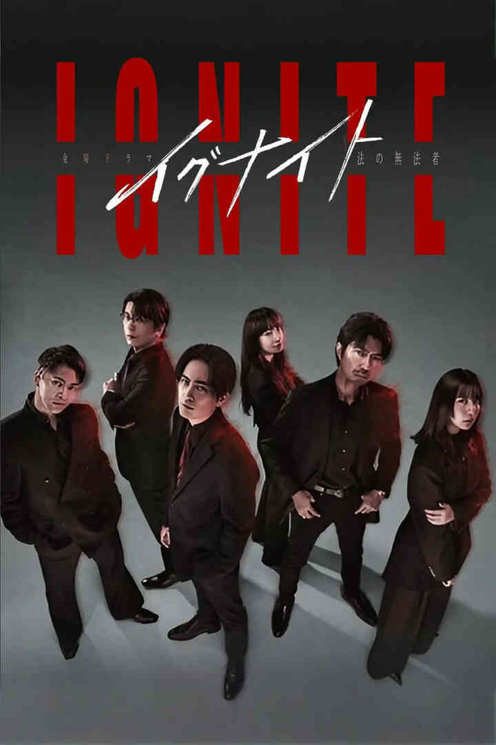 点燃：法之无法者封面图