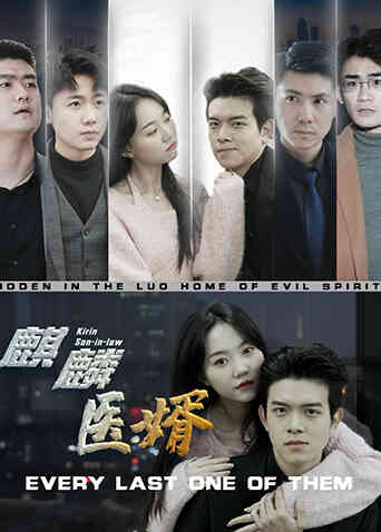 麒麟医婿封面图