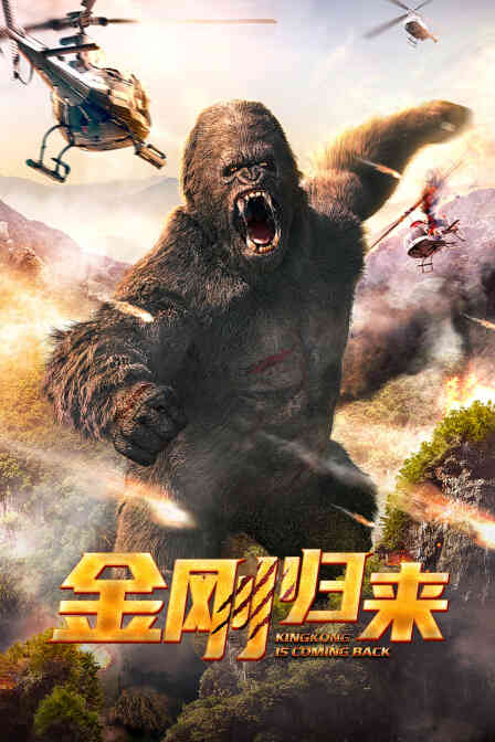 金刚归来封面图