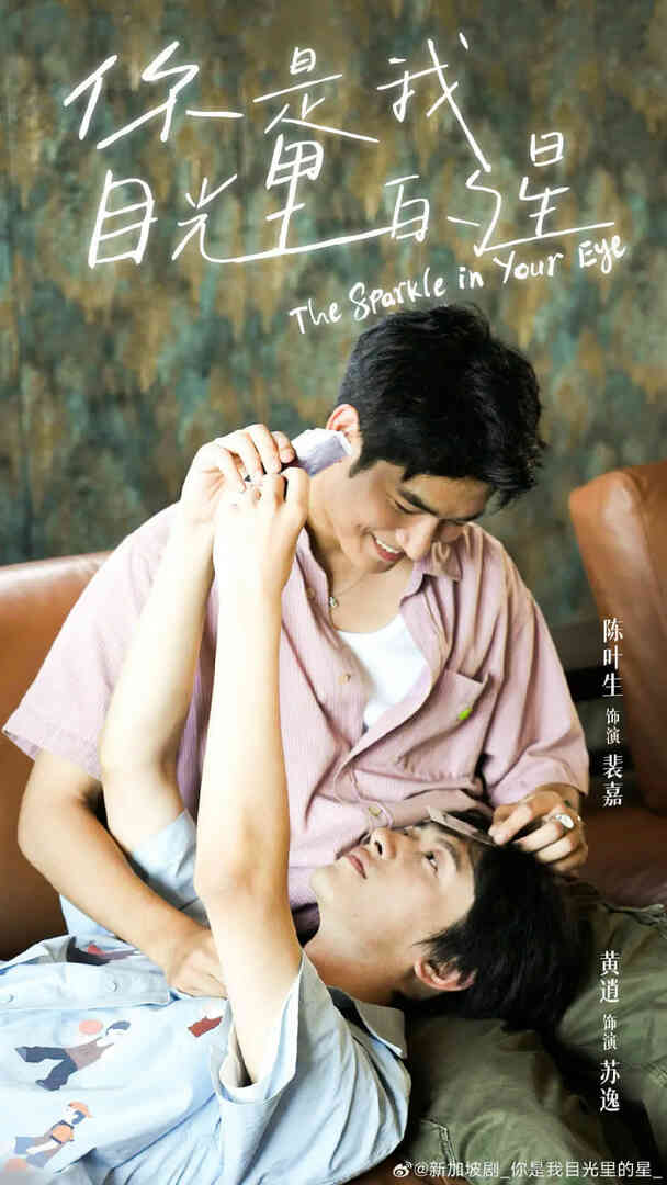 你是我目光里的星封面图