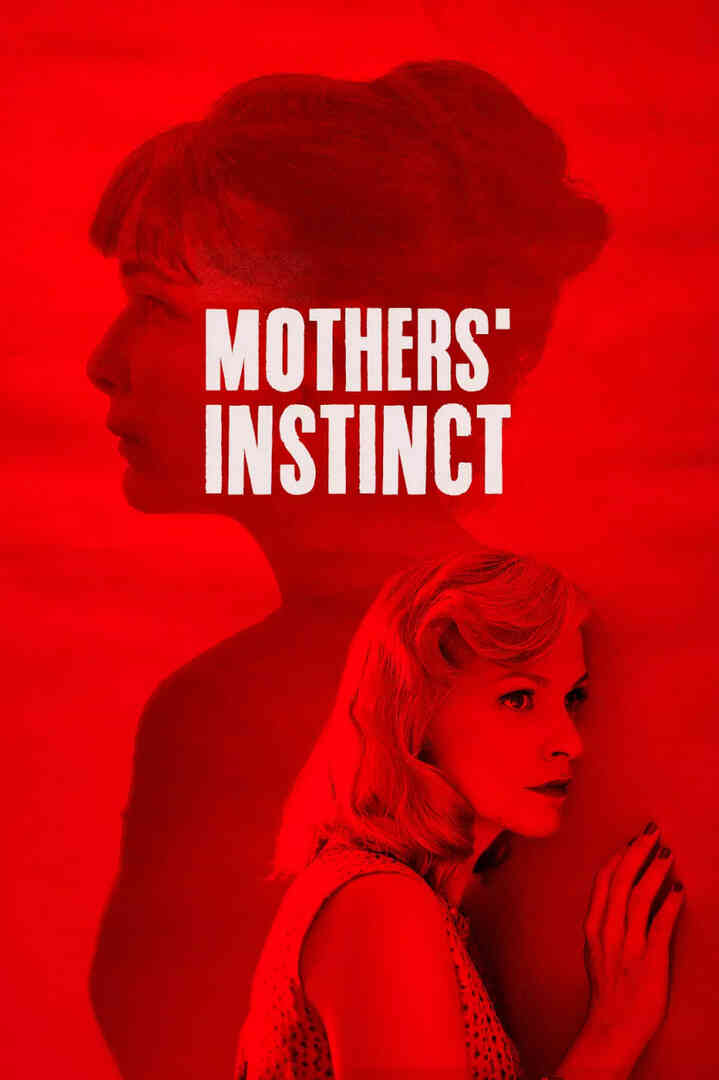 双姝疑云封面图