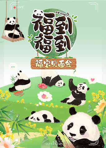 福到福到福宝见面会封面图