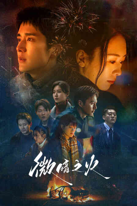 微暗之火DVD版封面图