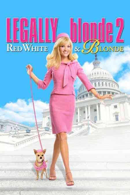 律政俏佳人2封面图