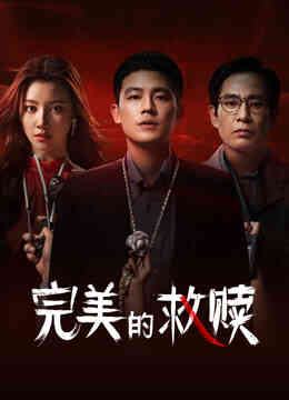 完美的救赎封面图