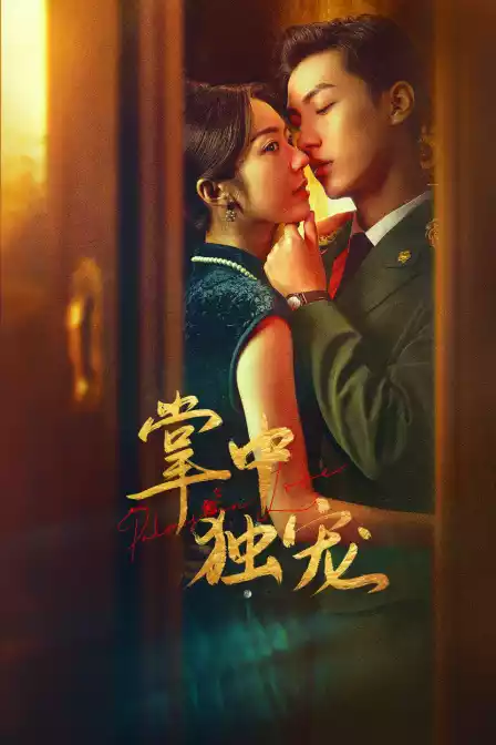 掌中独宠封面图