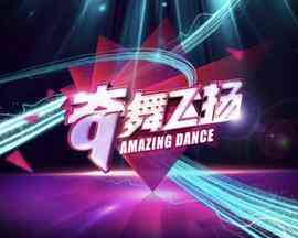 奇舞飞扬2014封面图
