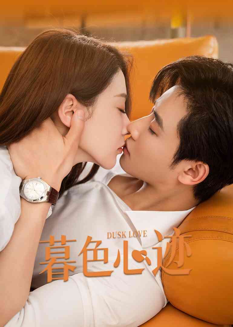 暮色心迹封面图