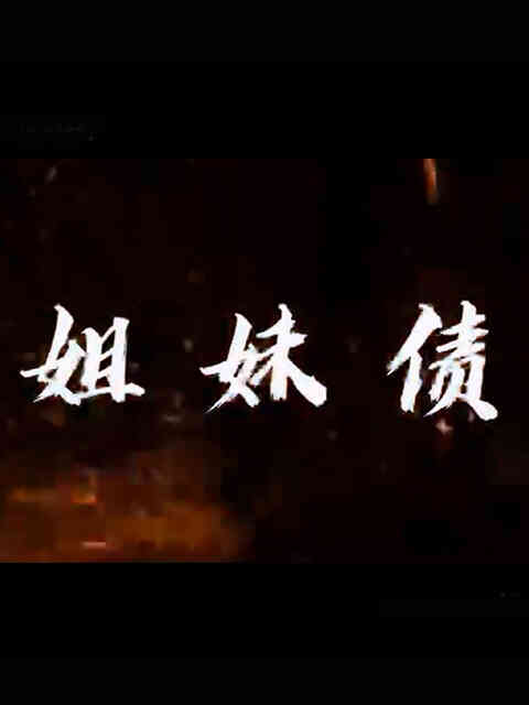 姐妹债封面图