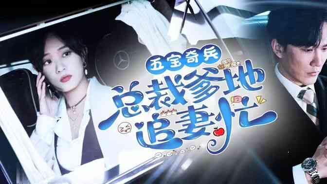 五宝奇兵总裁爹地追妻忙封面图