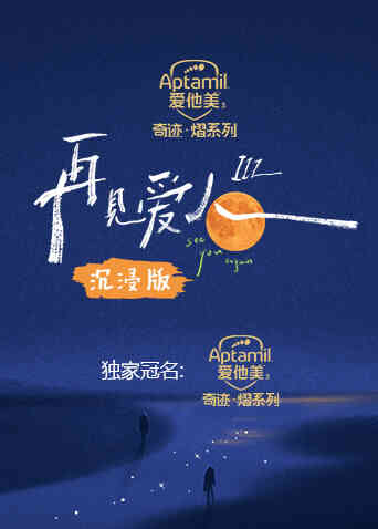 再见爱人3沉浸版封面图