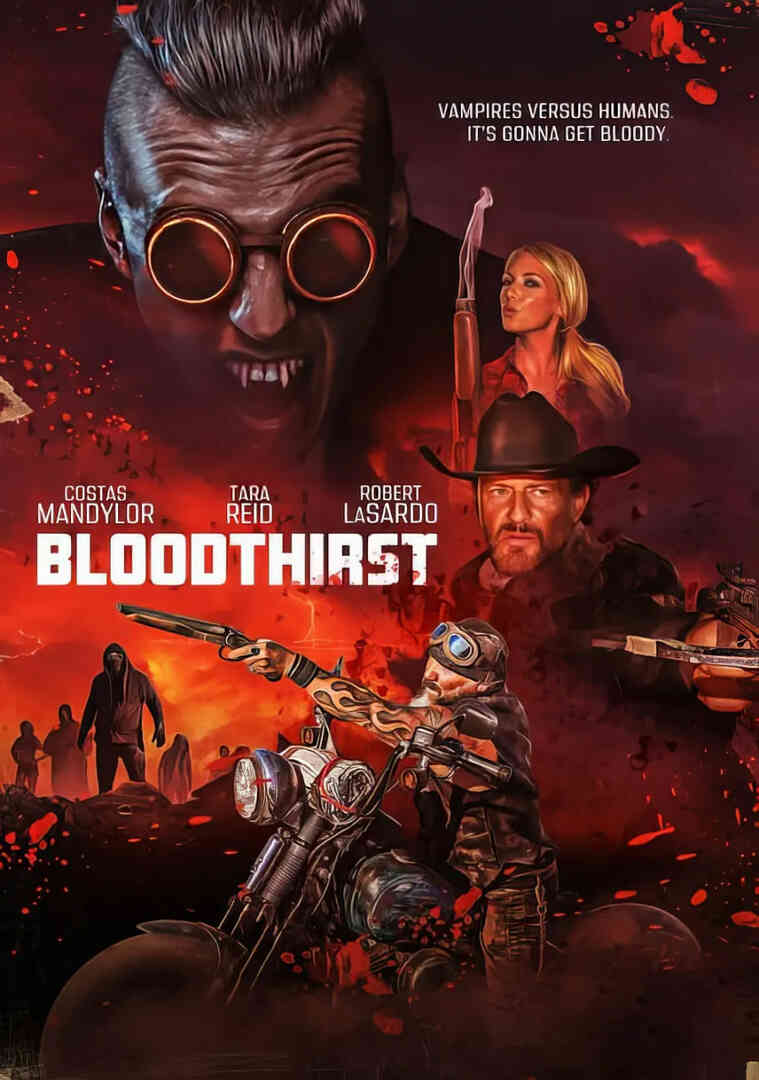 渴望 2023封面图