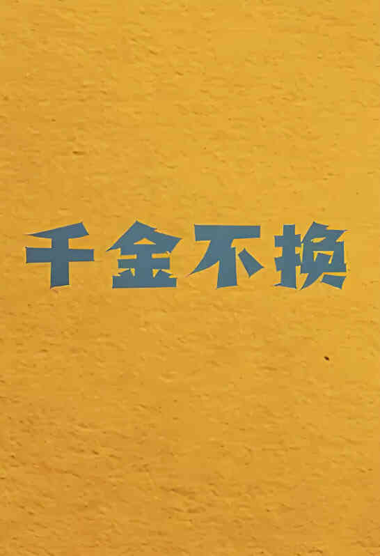 千金不换封面图