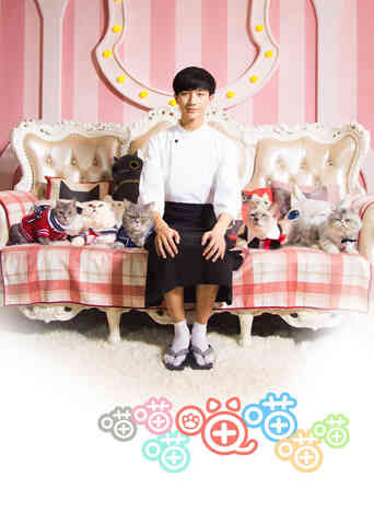 喵喵喵喵喵喵喵封面图