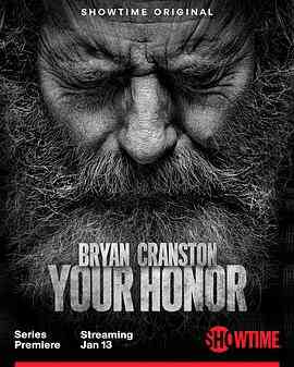 法官大人 第二季封面图