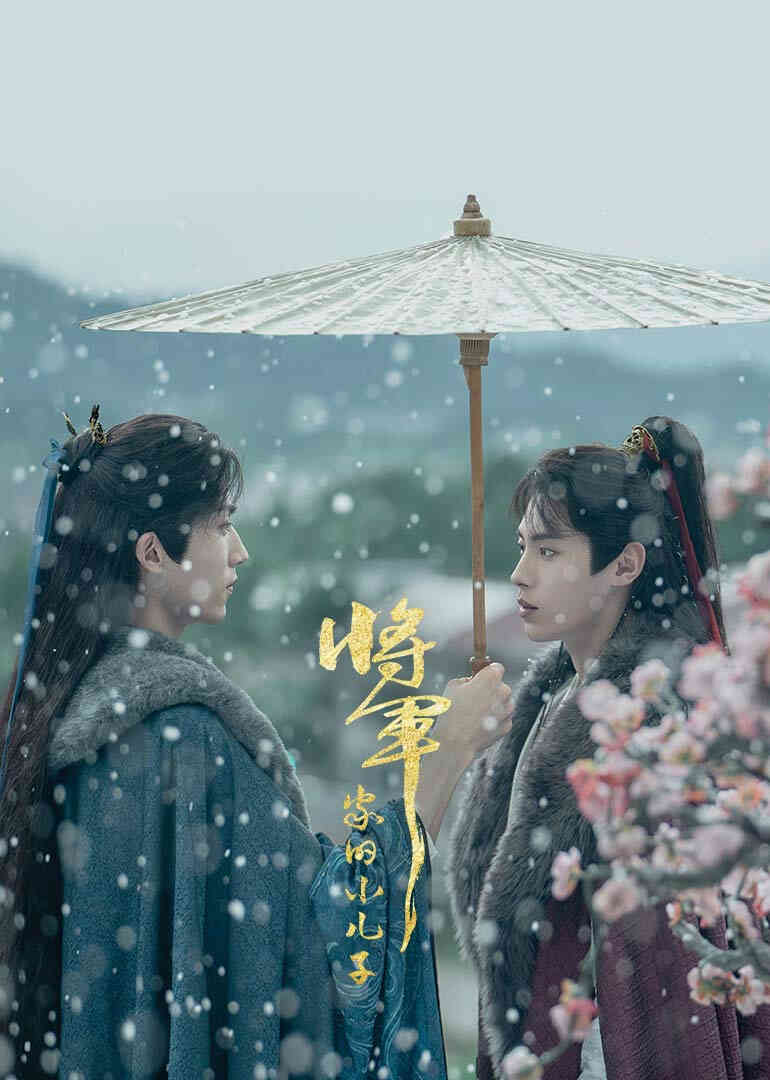 将军家的小儿子封面图