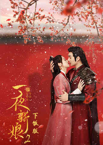 一夜新娘2下饭版封面图