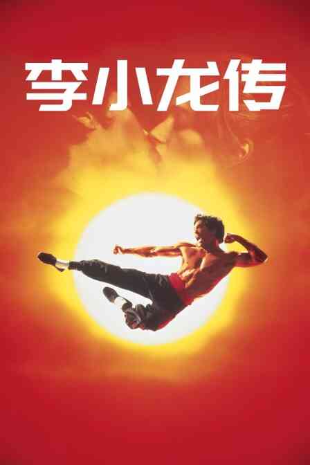 李小龙传封面图