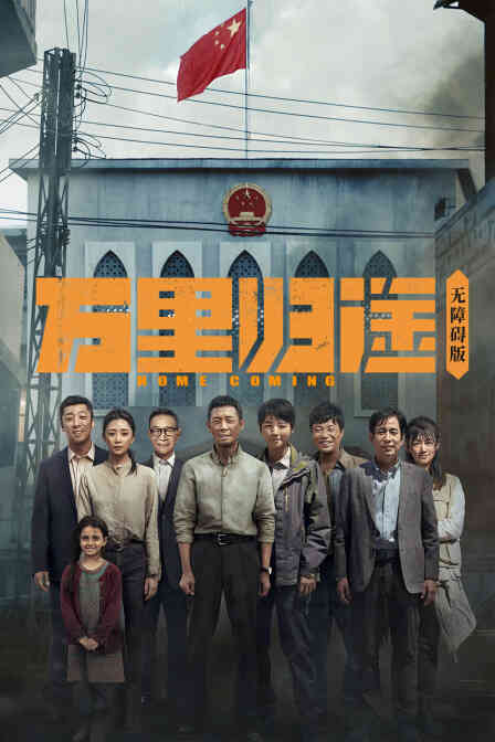 万里归途无障碍版封面图