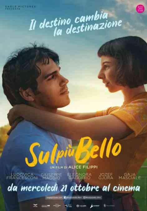 美丽至极封面图