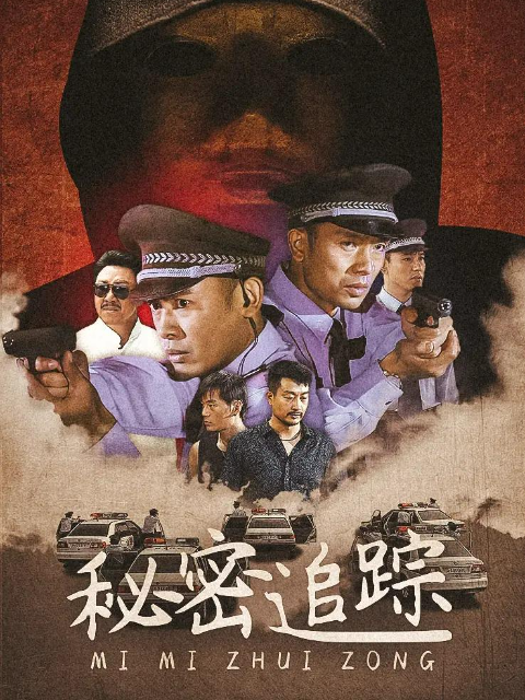 秘密追踪封面图