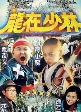 龙在少林封面图