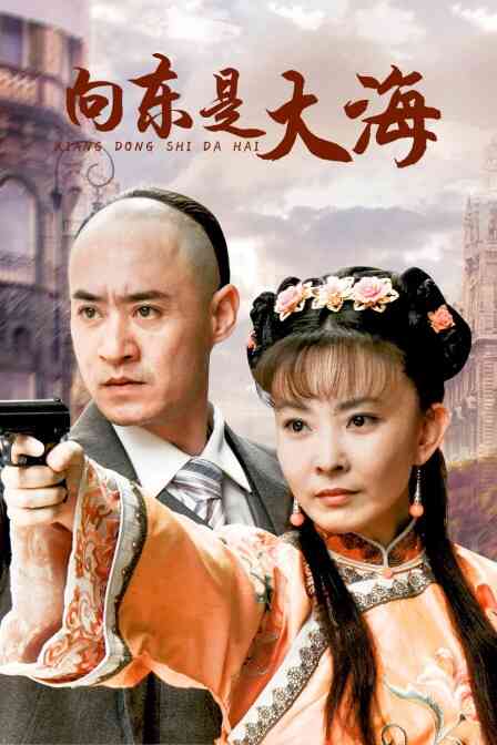 向东是大海封面图