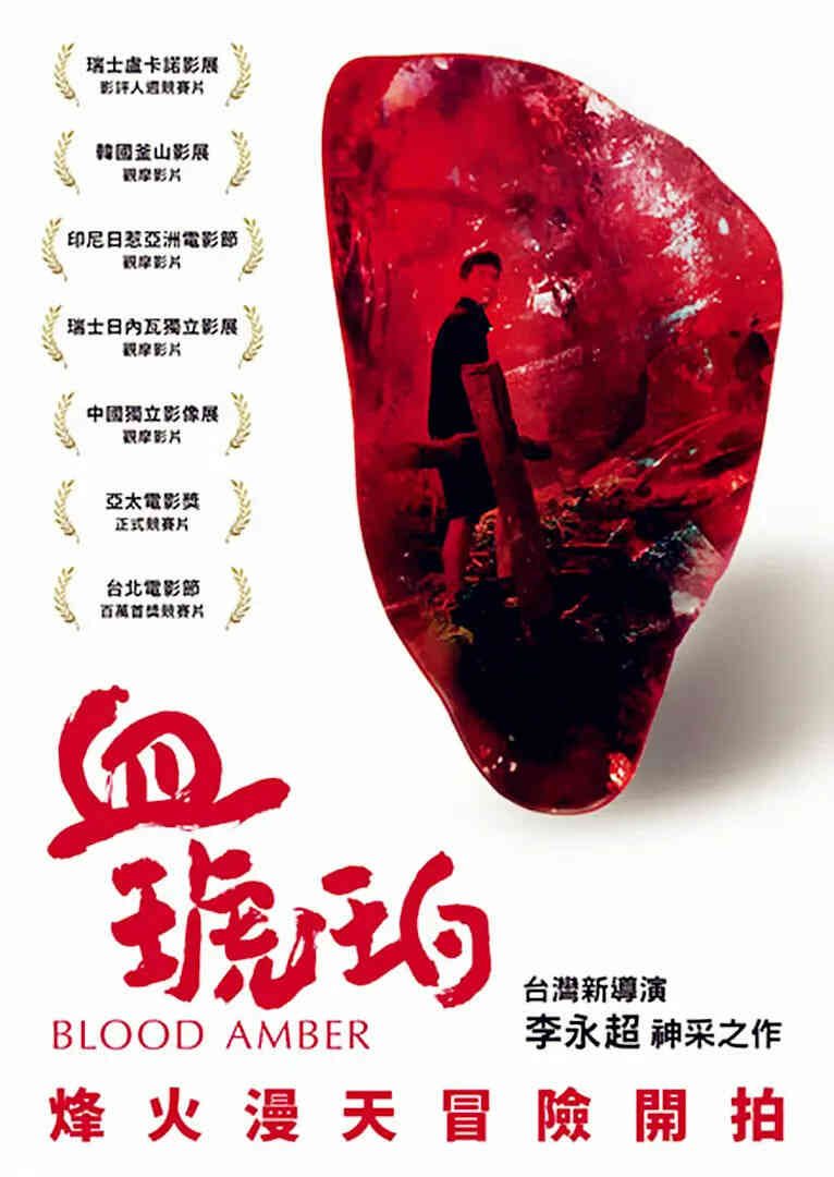 血琥珀封面图