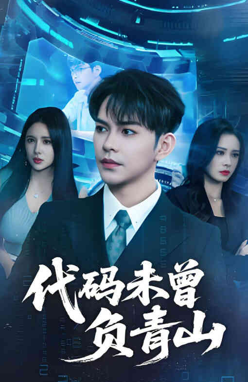 代码未曾负青山封面图