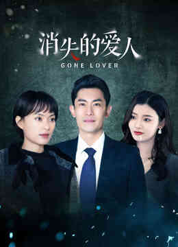 消失的爱人封面图