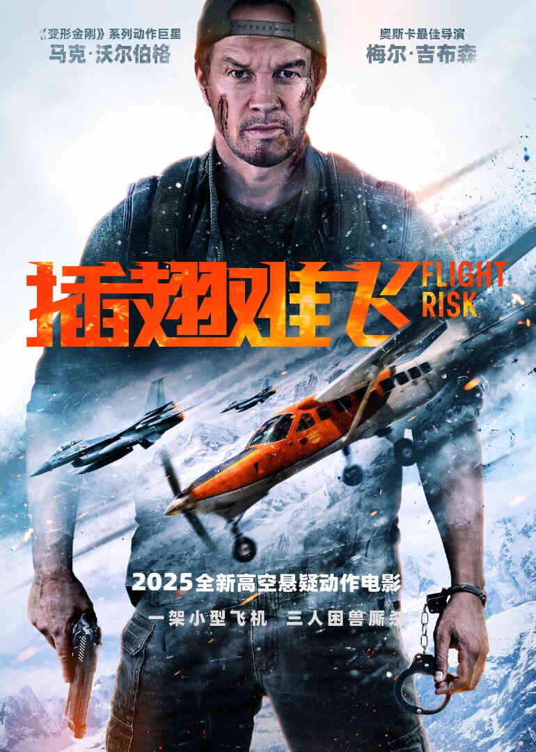 插翅难飞封面图