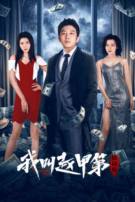 我叫赵甲第精简版封面图