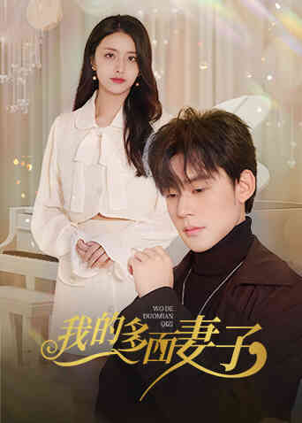 我的多面妻子封面图