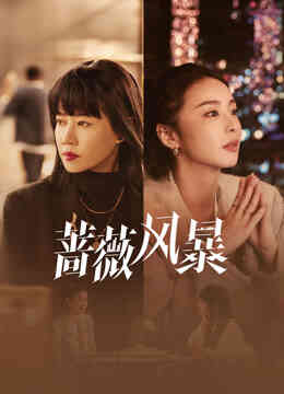 蔷薇风暴封面图