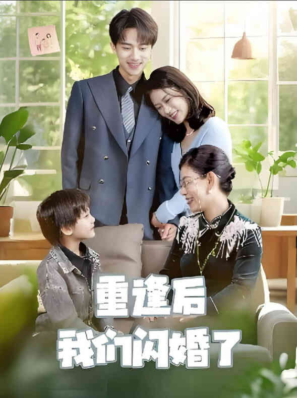 重逢后我们闪婚了封面图