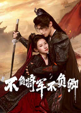 不负将军不负卿封面图