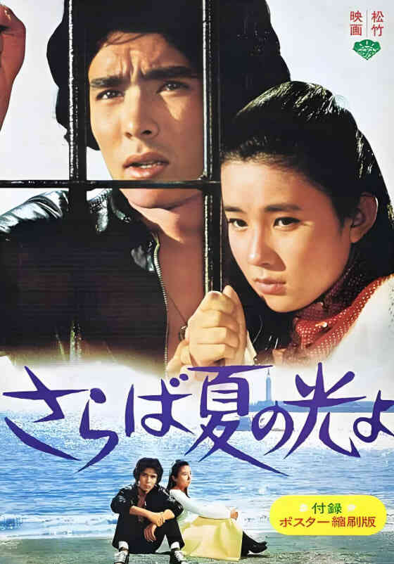 再见，夏日之光封面图