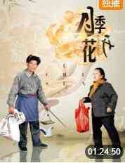 月季花开封面图