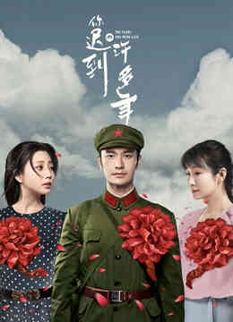 你迟到的许多年封面图