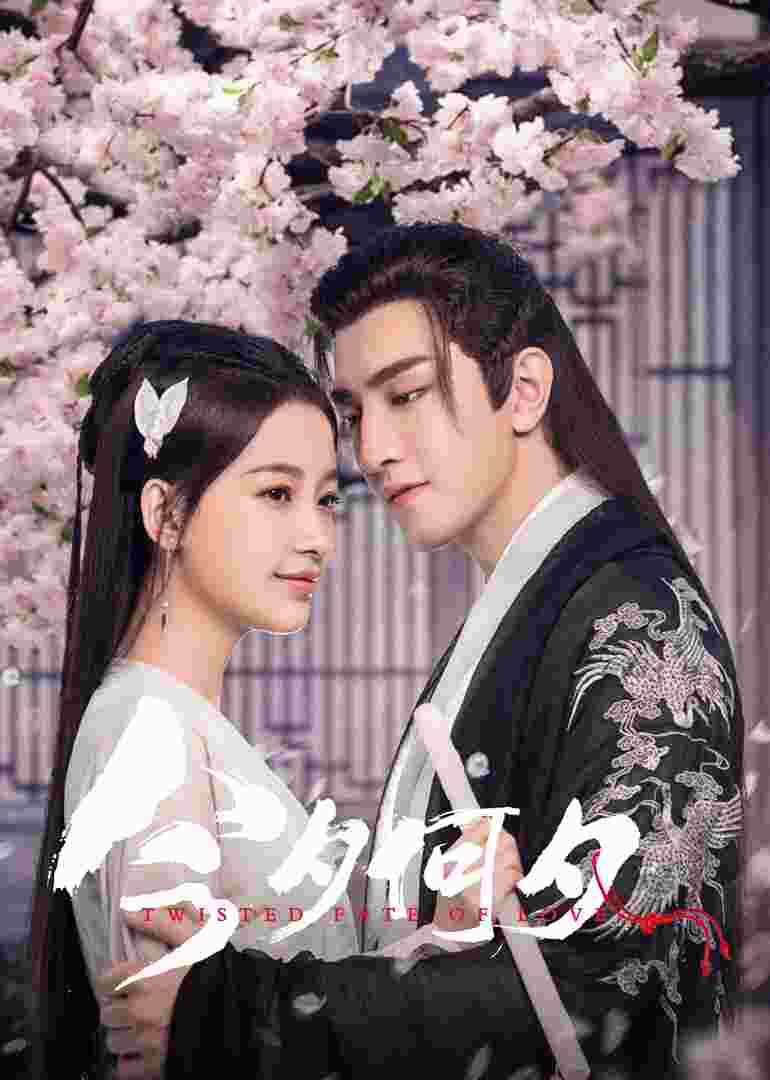 今夕何夕封面图