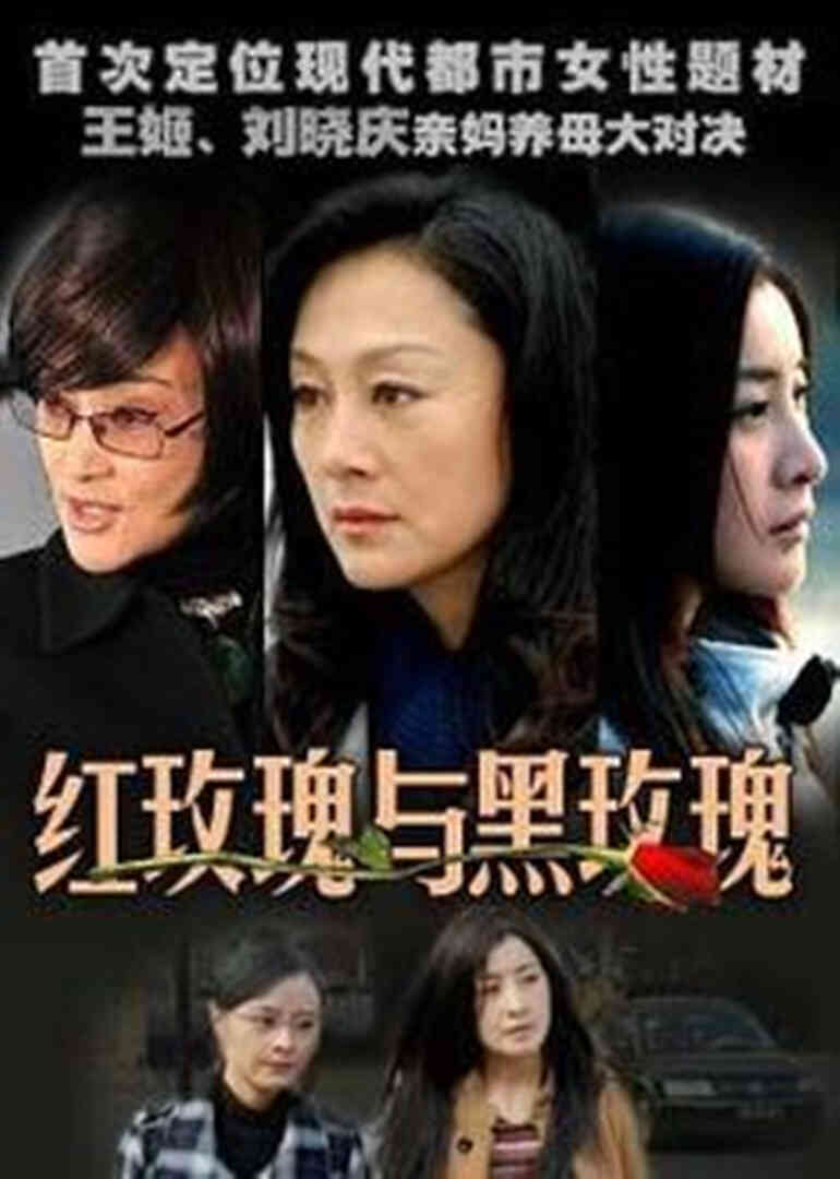 红玫瑰与黑玫瑰封面图