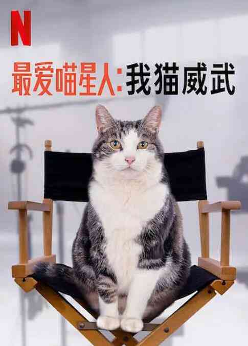 最爱喵星人：我猫威武封面图