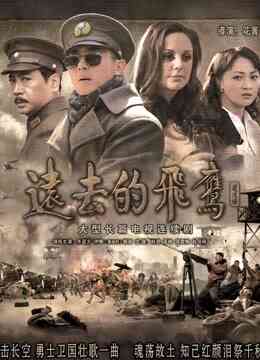 远去的飞鹰封面图