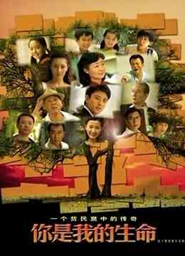 你是我的生命封面图