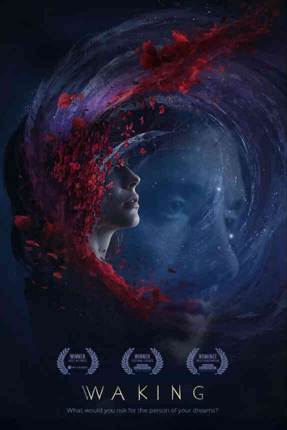 醒来 2013封面图