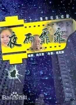 夜雨霏霏封面图