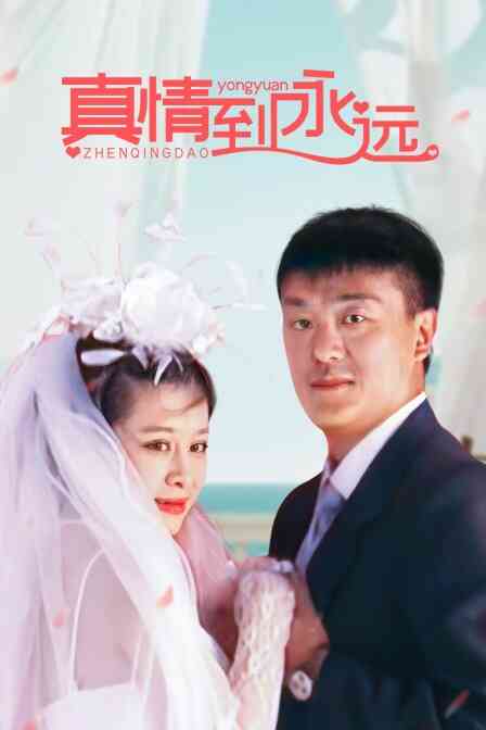 真情到永远封面图