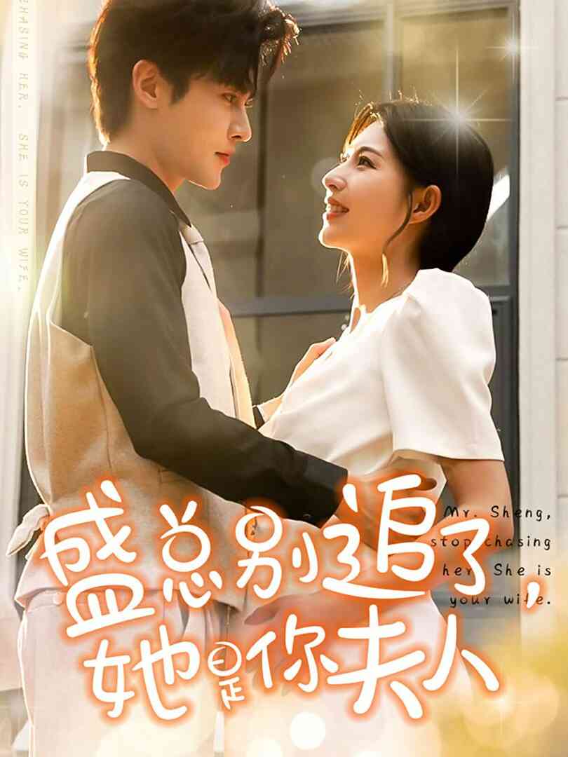 盛总别追了，她是你夫人封面图