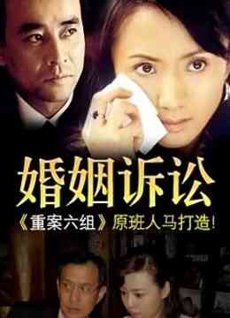 婚姻诉讼封面图